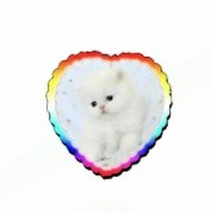 KAMILA (feat. Lucca) (Explicit)