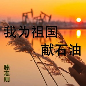 我为祖国献石油