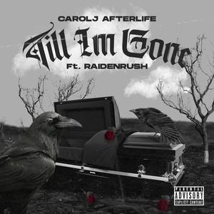 Till Im Gone(feat. Raidenrush) (Explicit)