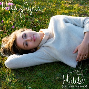 Malibu (Alan Walker Remix)封面