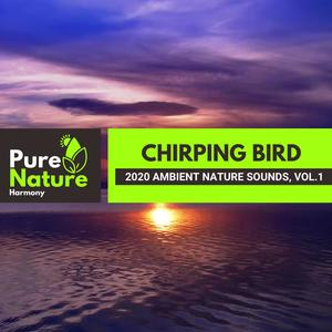 Chirping Bird - 2020 Ambient Nature Sounds, Vol.1