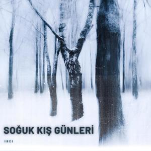 Soğuk Kış Günleri