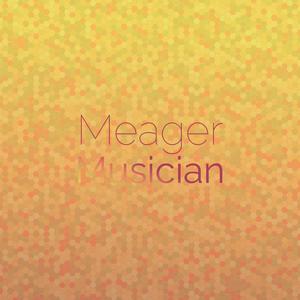 Meager Musician