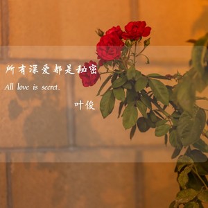 所有深爱都是秘密