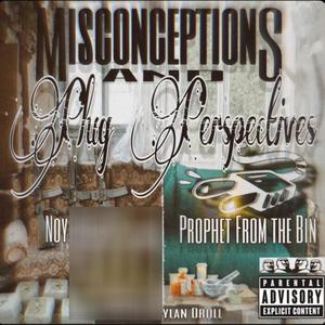 Misconceptions & Plug Perspectives (Explicit)