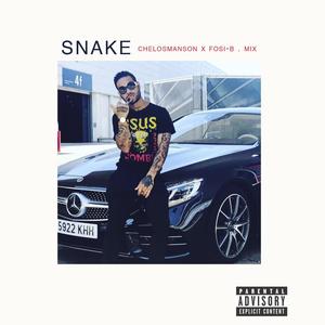 Snake .Mix (feat. chelosmansonrey & Fosi b) [Special Version] [Explicit]