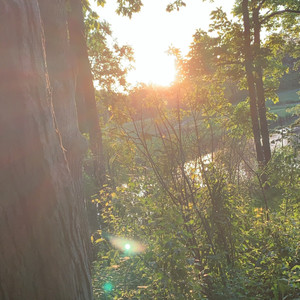 Sunshine (Ray) (Explicit)