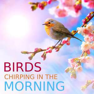 Birds Chirping In The Morning: A Forest Rhapsody To Help You Relax And Meditate