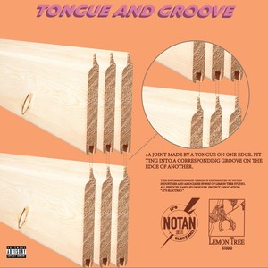 Tongue and Groove (Explicit)