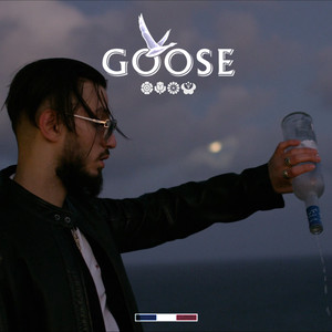 GOOSE (Explicit)