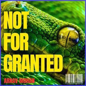 Not For Granted (Explicit)