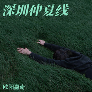 深圳仲夏线
