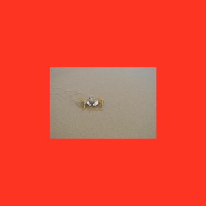 Pissy Pamper (They Tryna Be Cray)