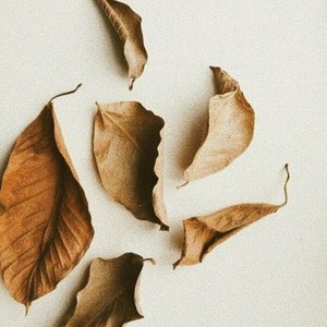 A love song for my Dad