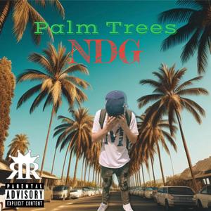 Palm Trees (Explicit)