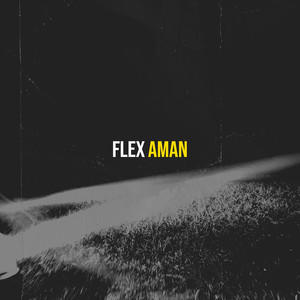 Flex (Explicit)