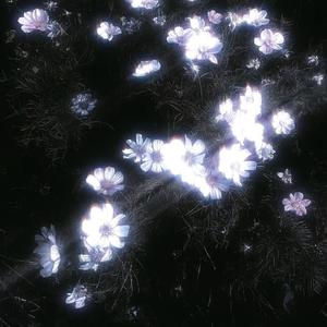 i miss you (Slowed & Reverbed)