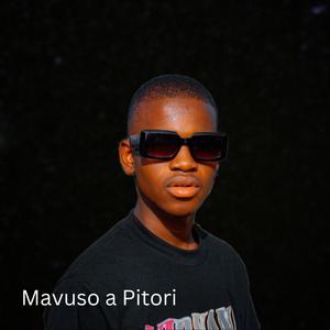 Mavuso a Pitori