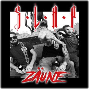 Zäune (Explicit)