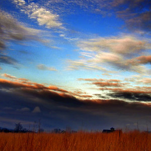 Summer Dusk in an Open Field - Single