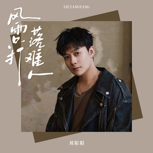 刘阳阳 - 风雨只打落难人