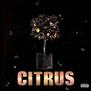 Citrus (Explicit)