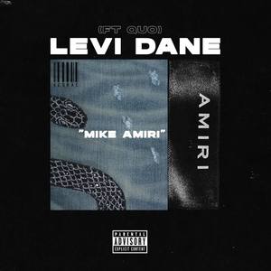 MIKE AMIRI (Explicit)