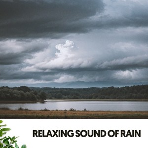 Relaxing Sound of Rain: Serenity in Storms