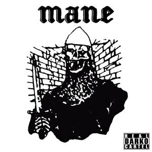 MANE (Explicit)