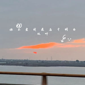 你不爱我最后才明白