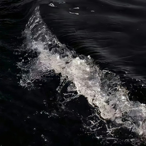 承诺再多也没有用