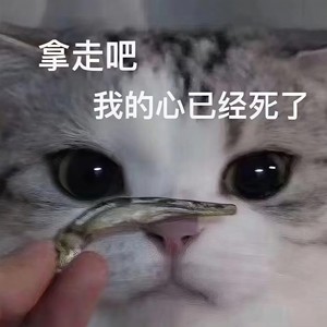 David Guetta,Akon-Sexy ＊＊＊＊＊