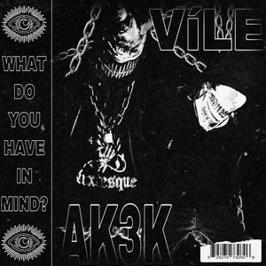 WHAT DO YOU HAVE IN MIND? (Explicit)