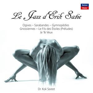 Dr. Kok - Je Te Veux (Original Mix)