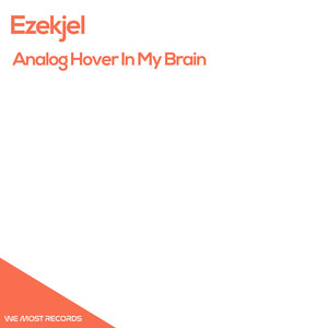 Analog Hover In My Brain (Original Mix)