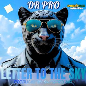 LETTER TO THE SKY (feat. SKITSPRO MP) (Radio Edit)