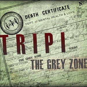 The Grey Zone