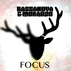 Focus