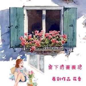窗下的蔷薇花