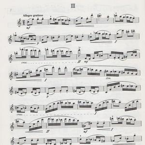 Allegro grazioso, 3. mov.