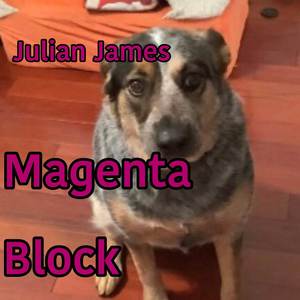 Magenta Block