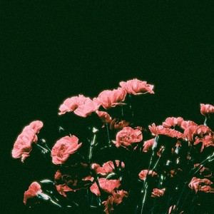 Lost Sync - Jane Foster