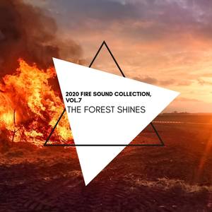 The Forest Shines - 2020 Fire Sound Collection, Vol.7