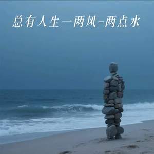 总有人生一两风