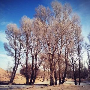 与你相约MIX因为你