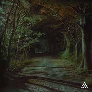 Night Shadows (Slow Down)