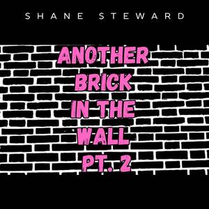 Another Brick in the Wall, Pt.2