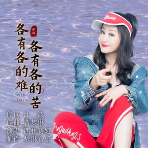 各有各的苦 各有各的难