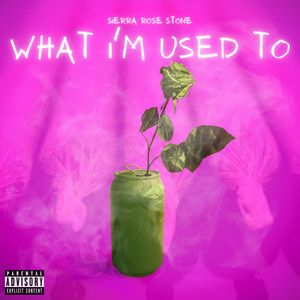 What I'm Used To (Explicit)