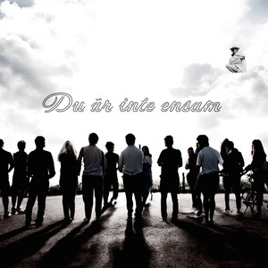 Du Är Inte Ensam (Explicit)